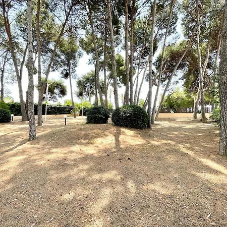 Apartment Synergie Si07 - Sol *