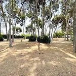 Apartman Synergie Si07 - Sol *